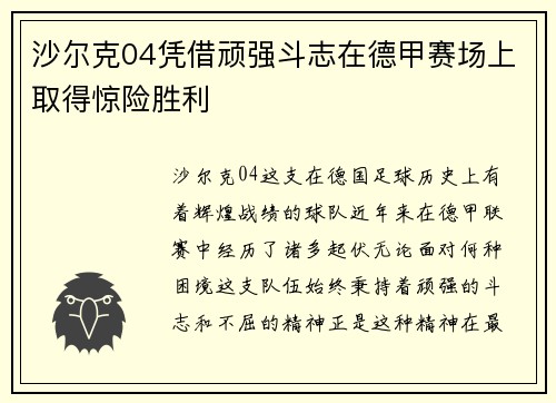 沙尔克04凭借顽强斗志在德甲赛场上取得惊险胜利