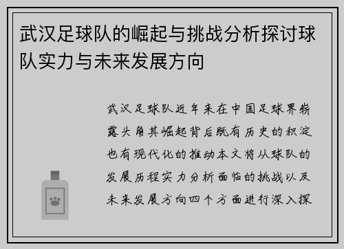 武汉足球队的崛起与挑战分析探讨球队实力与未来发展方向