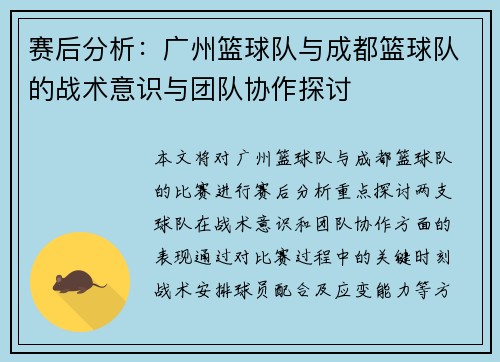 赛后分析：广州篮球队与成都篮球队的战术意识与团队协作探讨